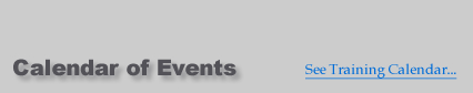 Page Title